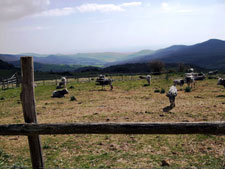 Italy-Lazio-On Etruscan Trails - Walking Holiday